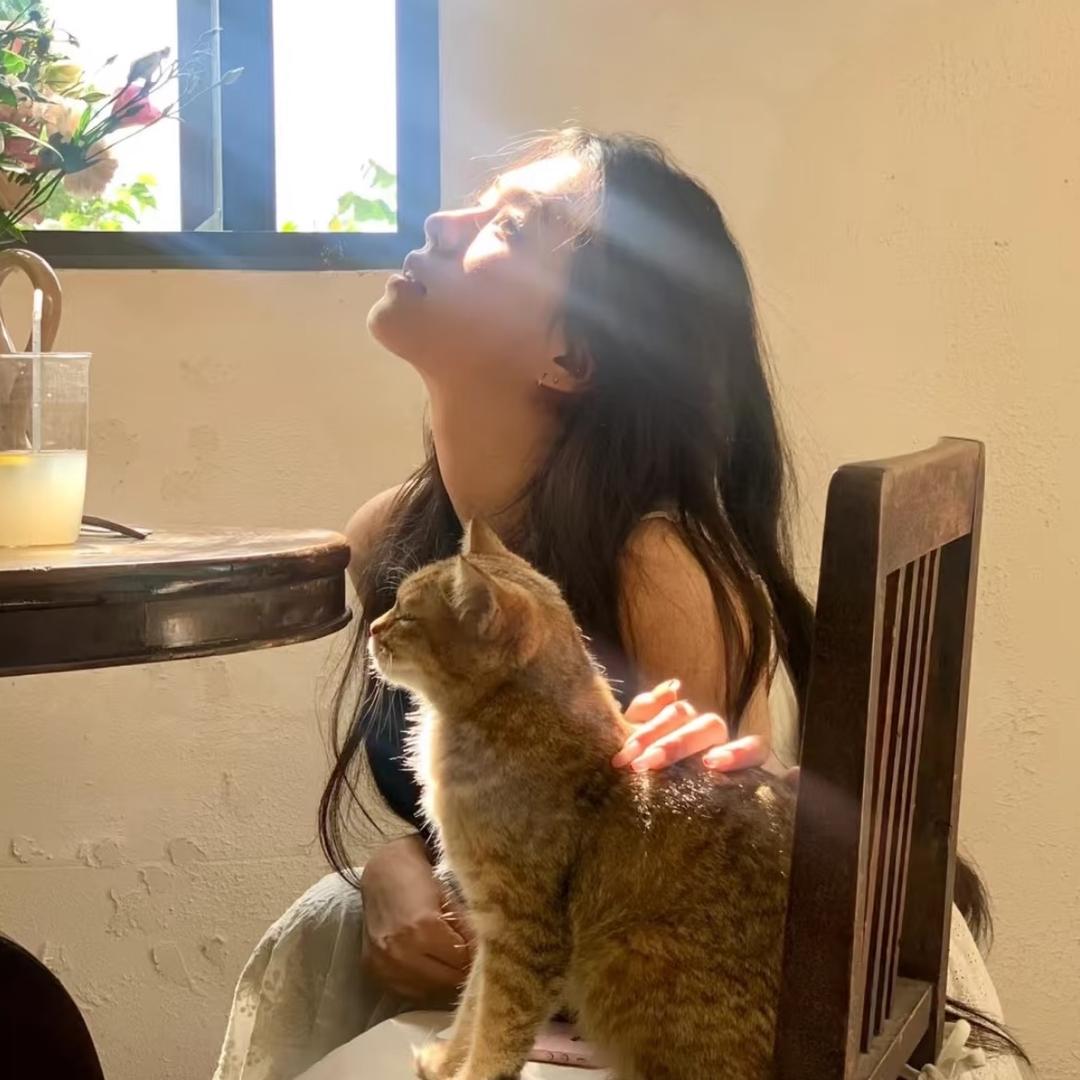 蓝莓没烦恼