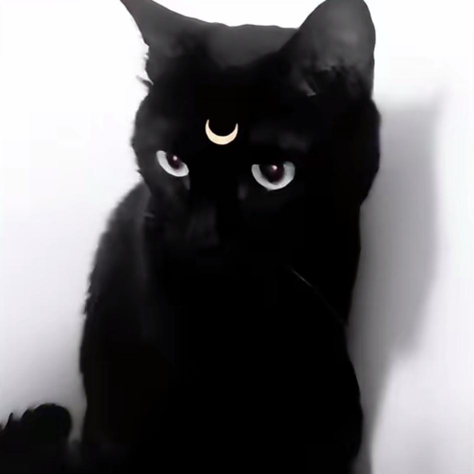 成都空瓶子Bottle 阿欣