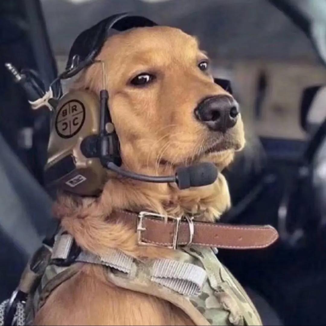 希莹（日常号）