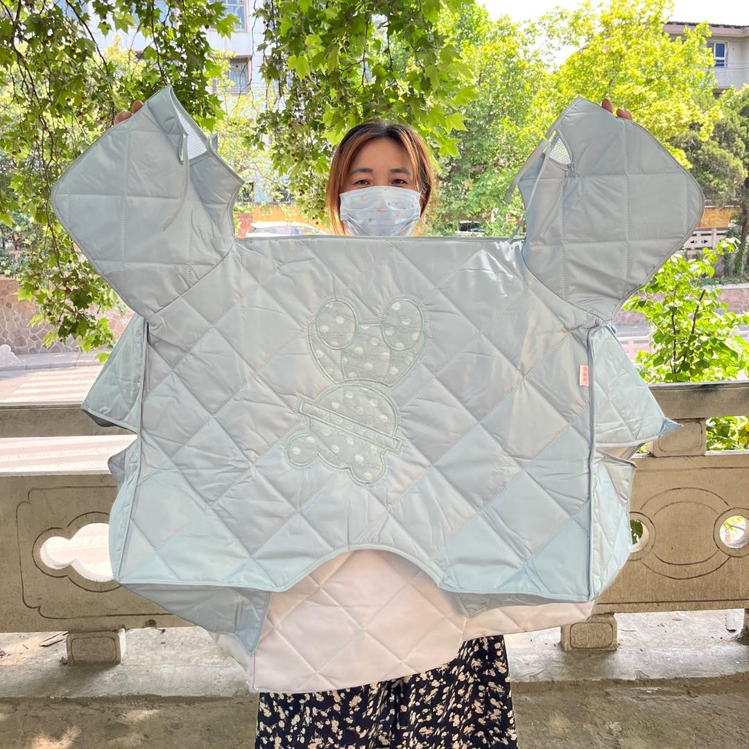 小左家挡风