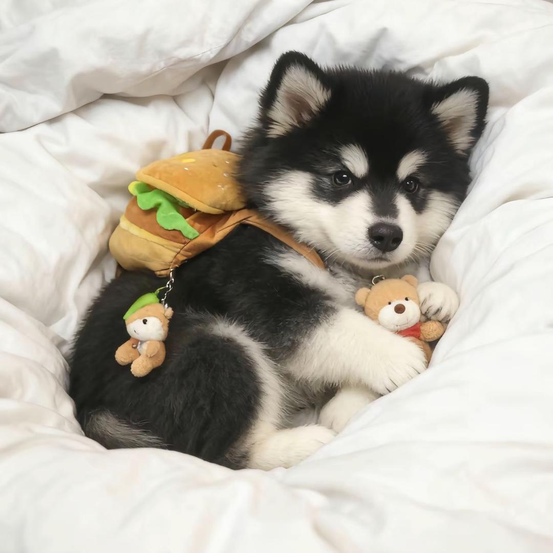 🍔