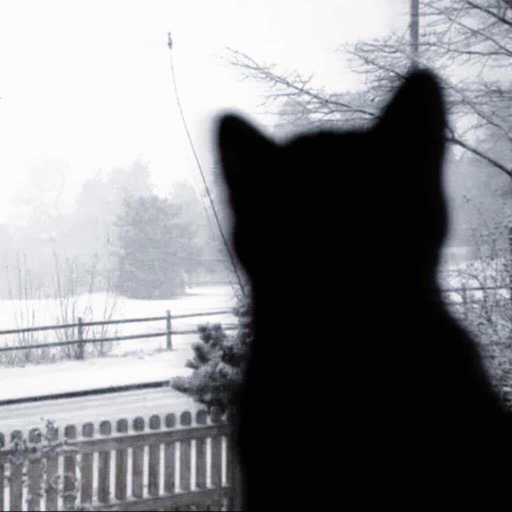 小酒（新人体验88-600版）