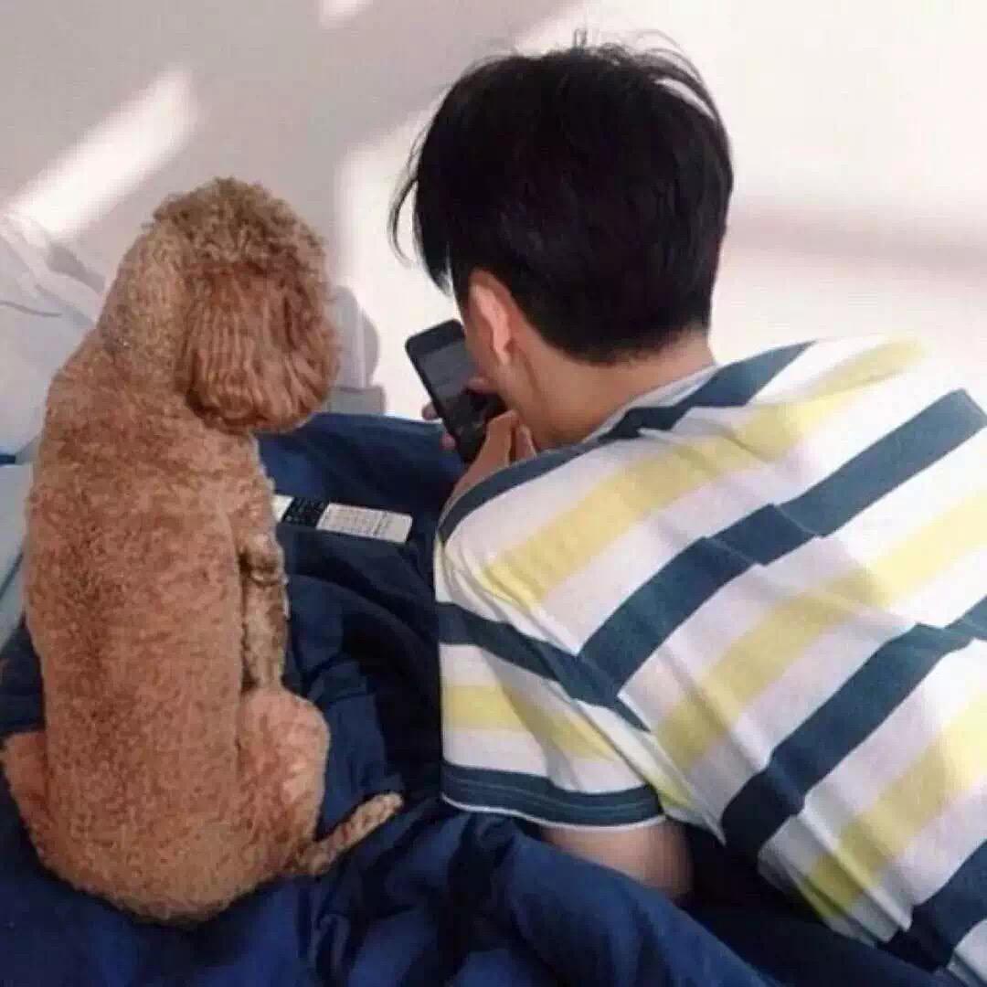 无敌霹雳蛋蛋儿