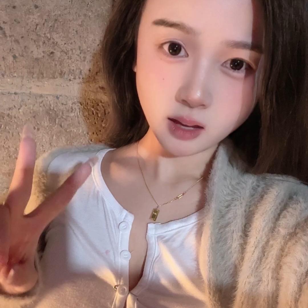 养只猫🐈