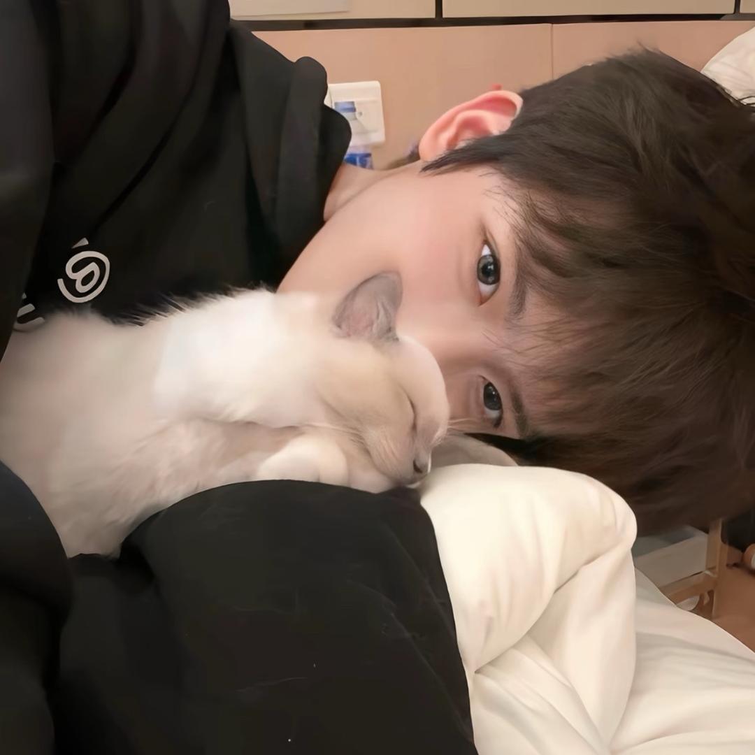月光下的风