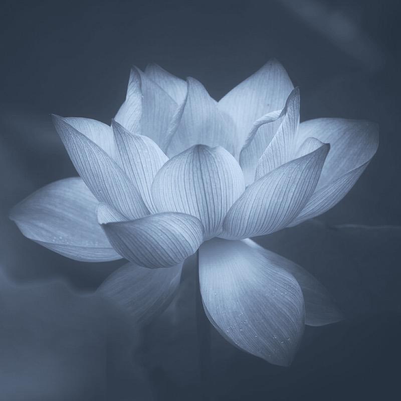 菩提禅心阁