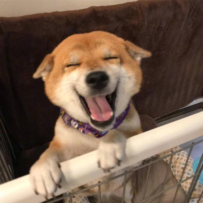 暴走小李