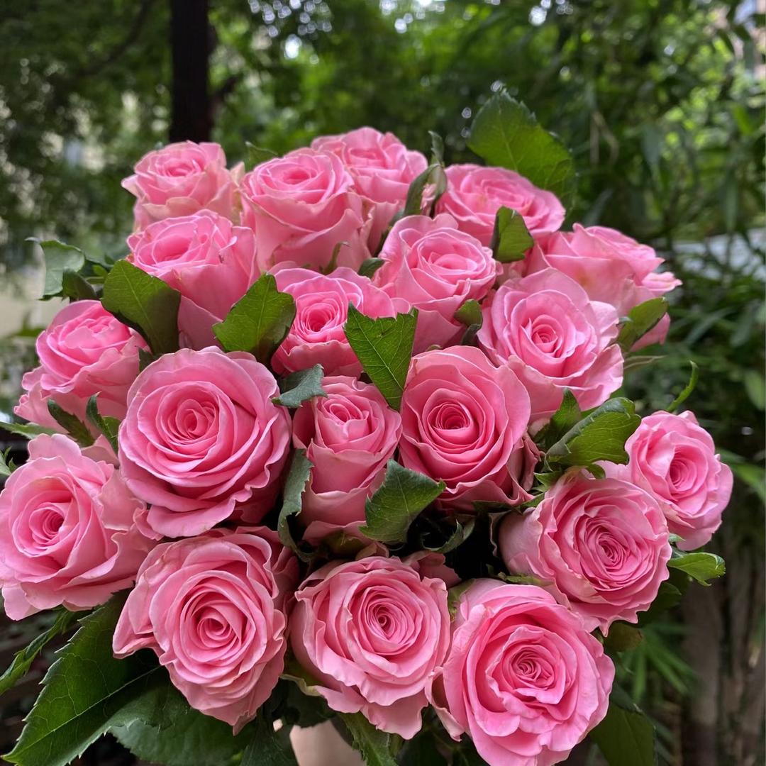 123鲜花批发店