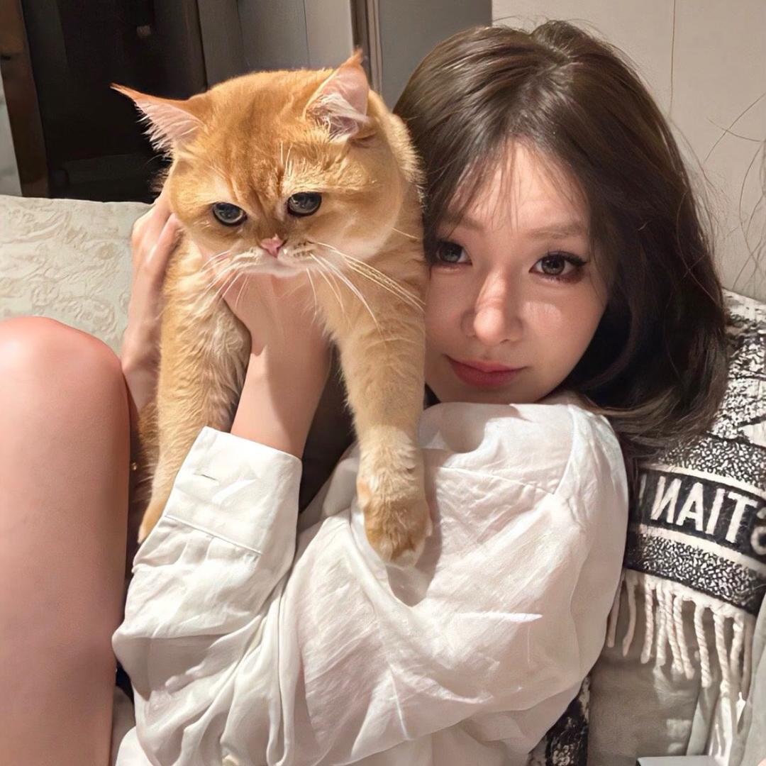annyyuie