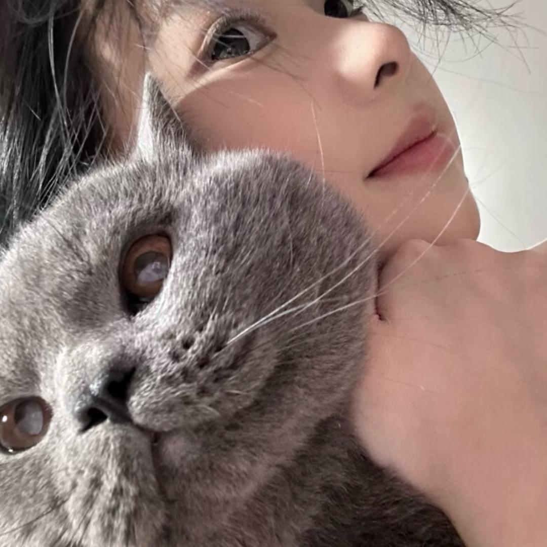 ㅤㅤㅤ                ㅤ