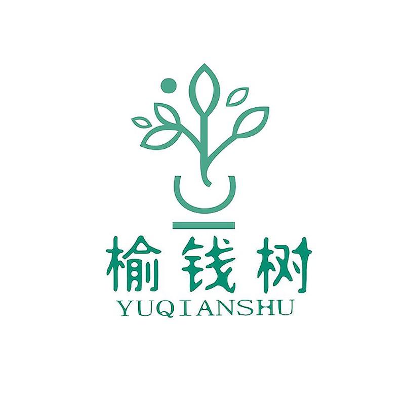 榆钱树专营店