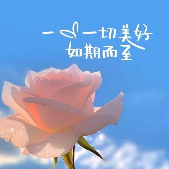 余生安好💞