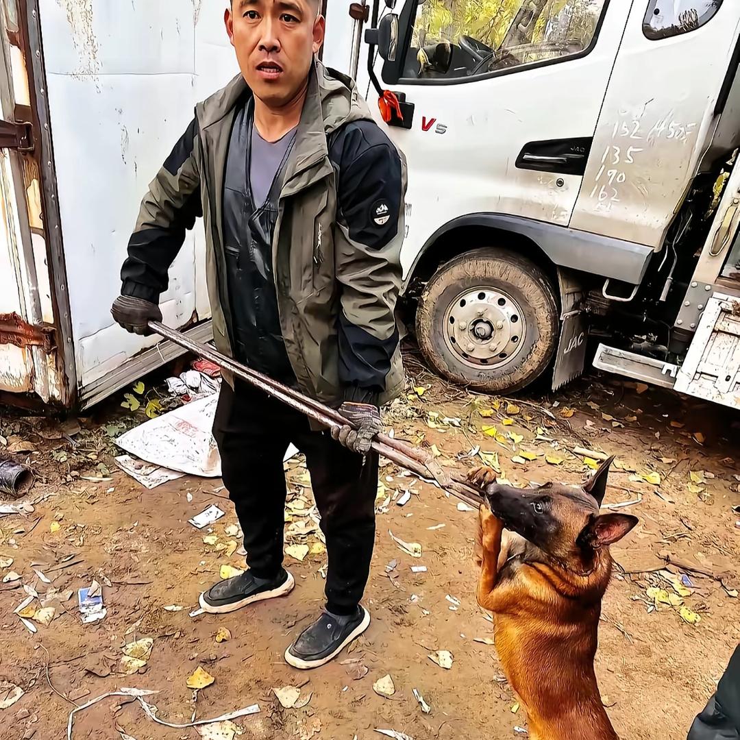 AAA专业套狗王总（河北地区免费）