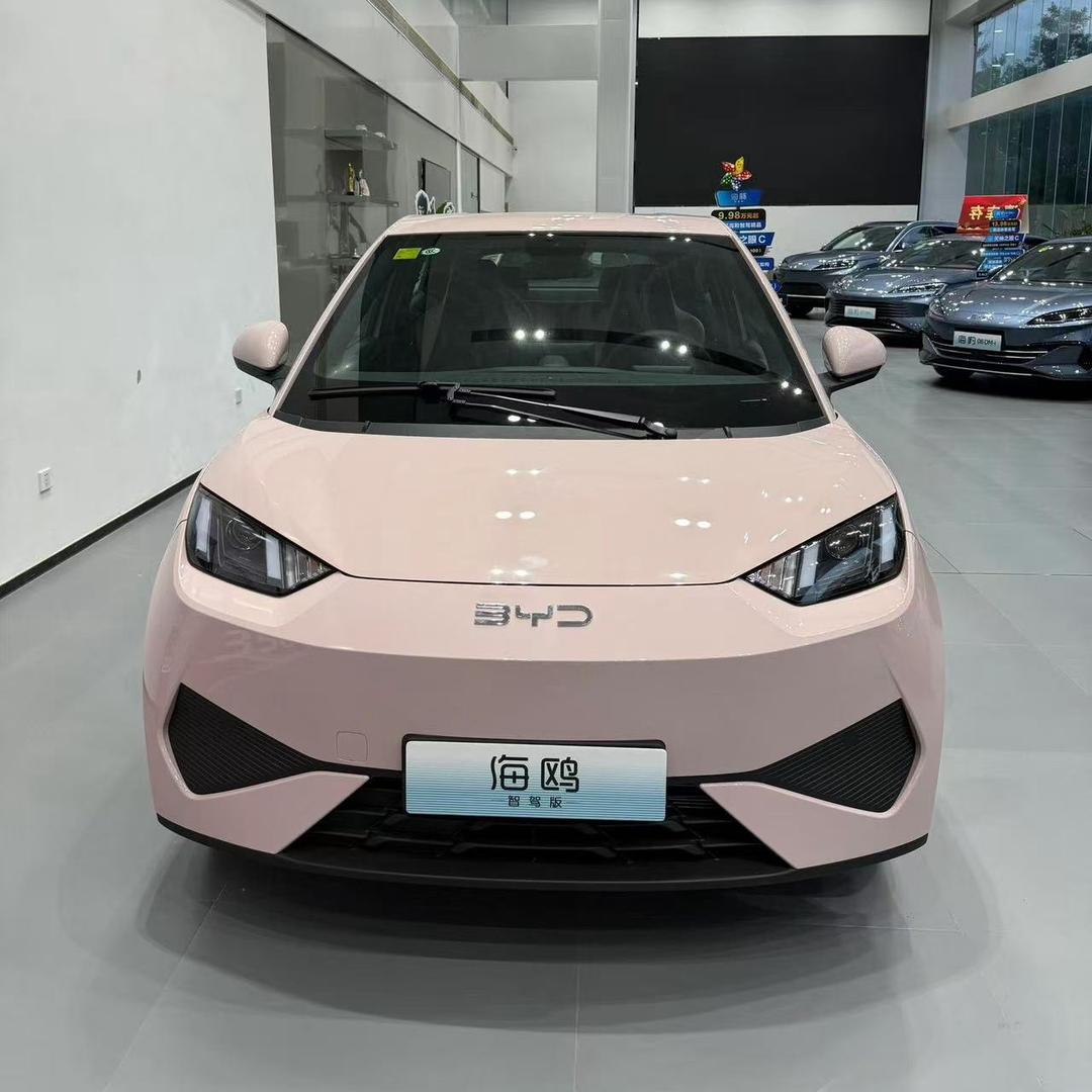 比亚迪海鸥～豆豆