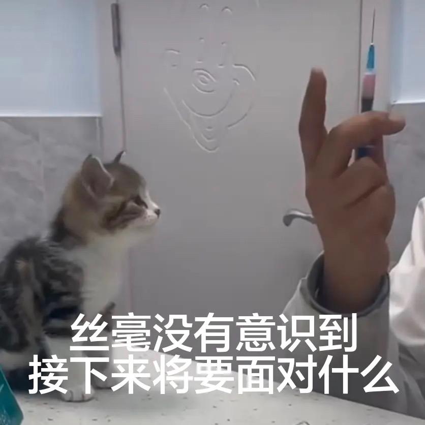 饭桶