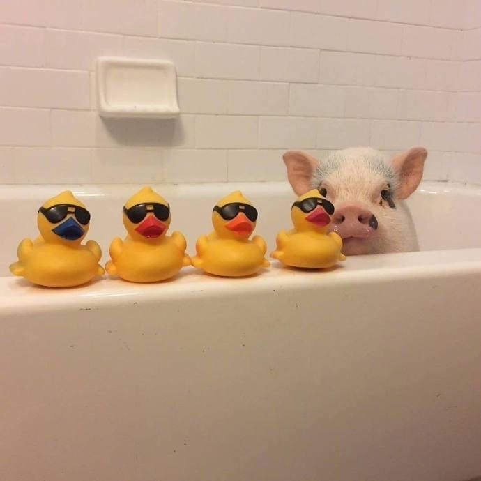 发量爆棚的玖爷