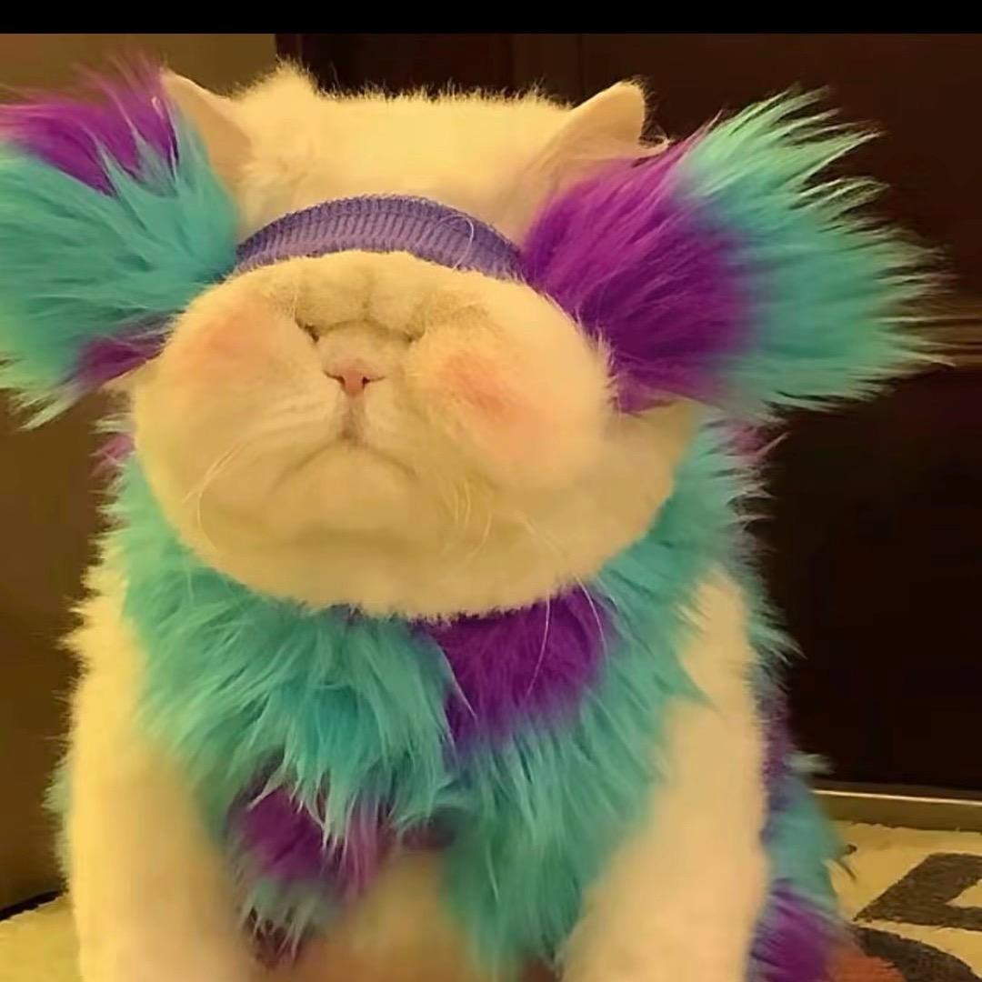一鹿有你严选