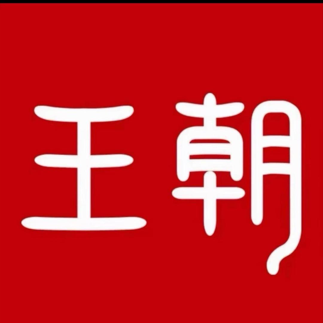 寿光比亚迪王朝网韩华斌