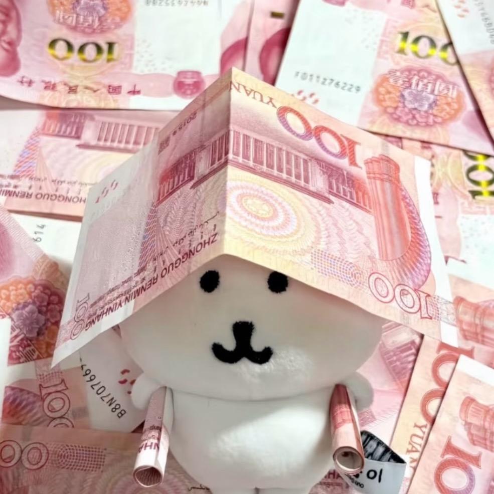 冰岛看极光..