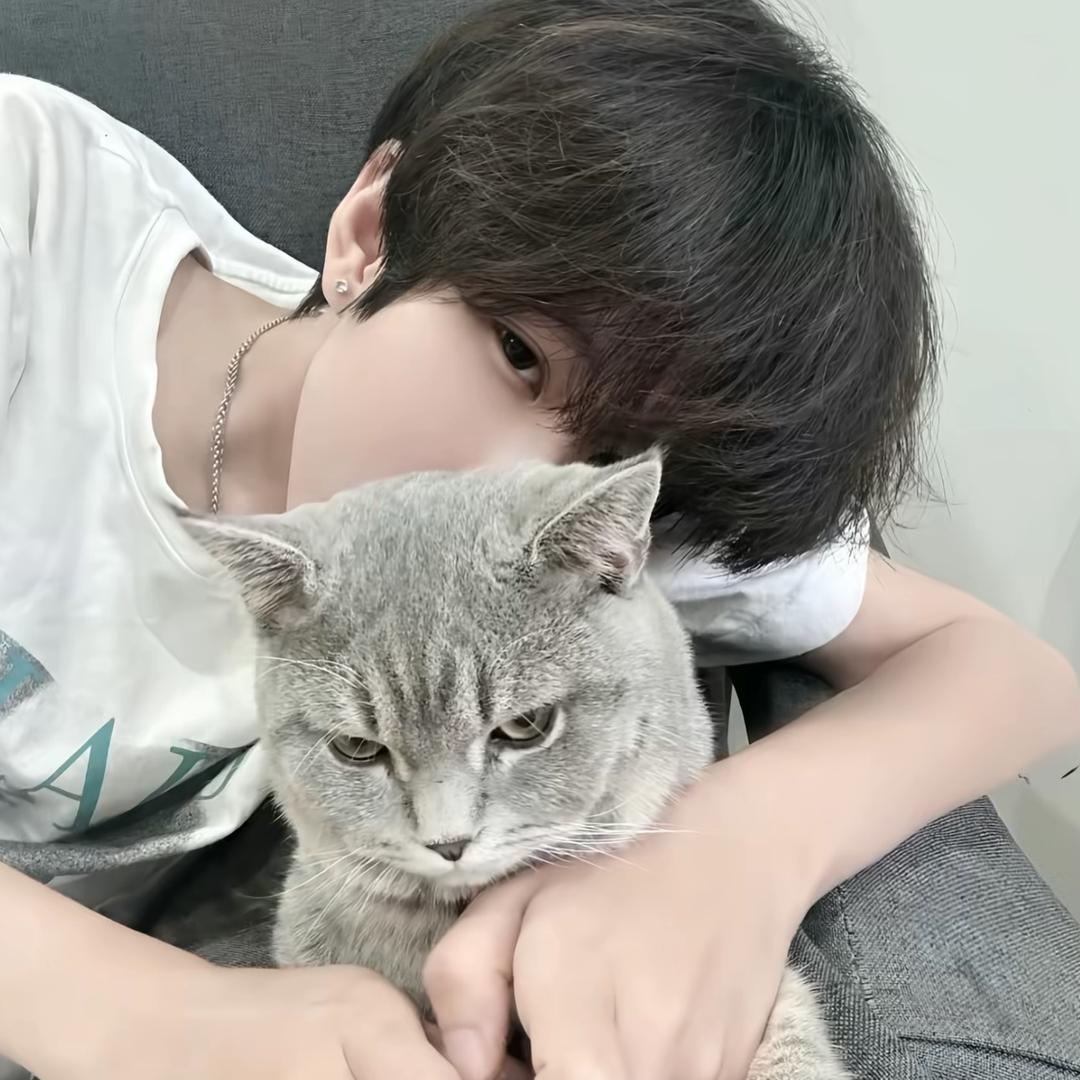 莎邶