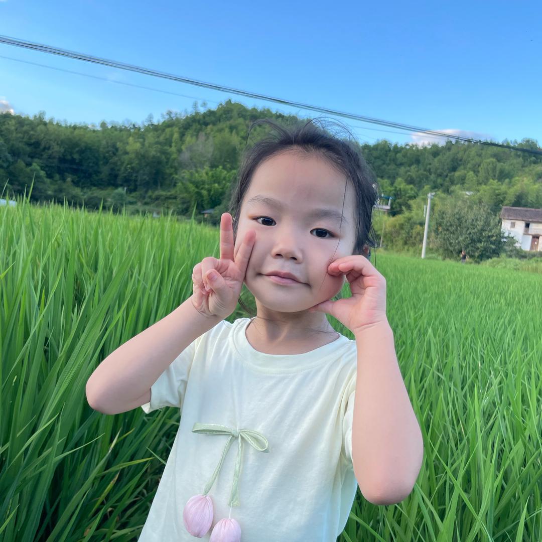是橙不是程
