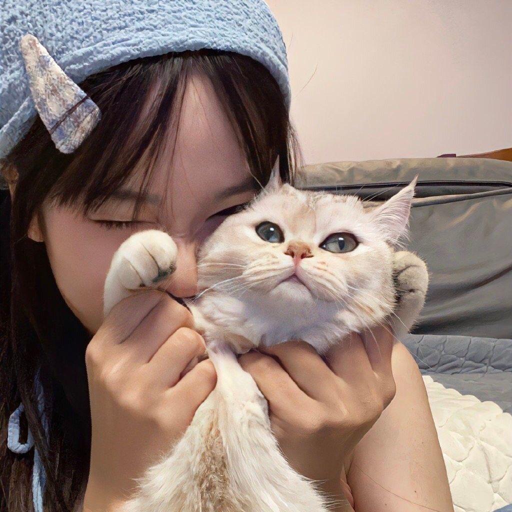 猫猫wink