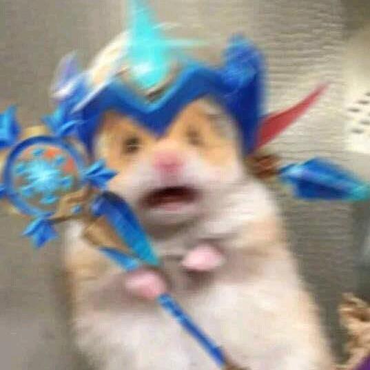 梦梦解说