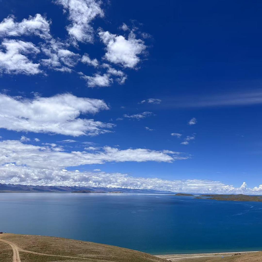 赚钱买小狗儿♾️