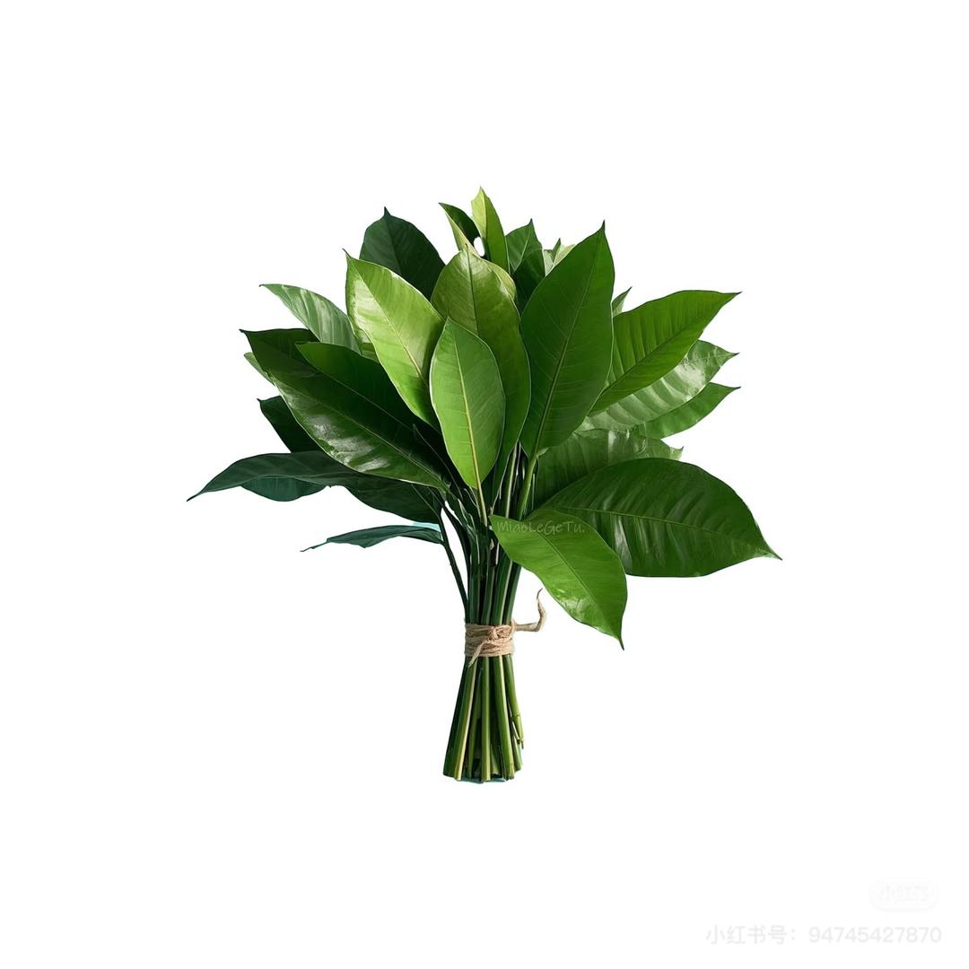 李恩施