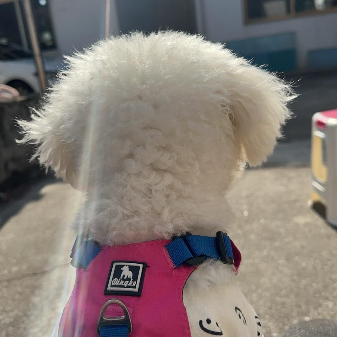 清晨的粥