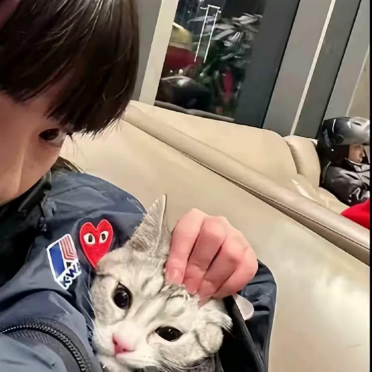 ￰ㅤㅤㅤㅤㅤ我不是闹闹