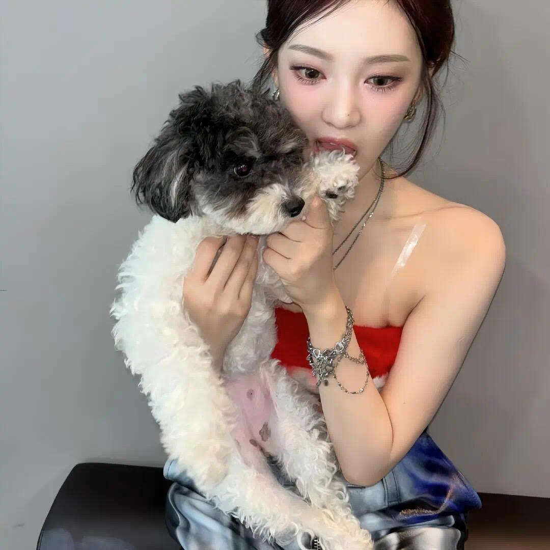 没有苗头-_-
