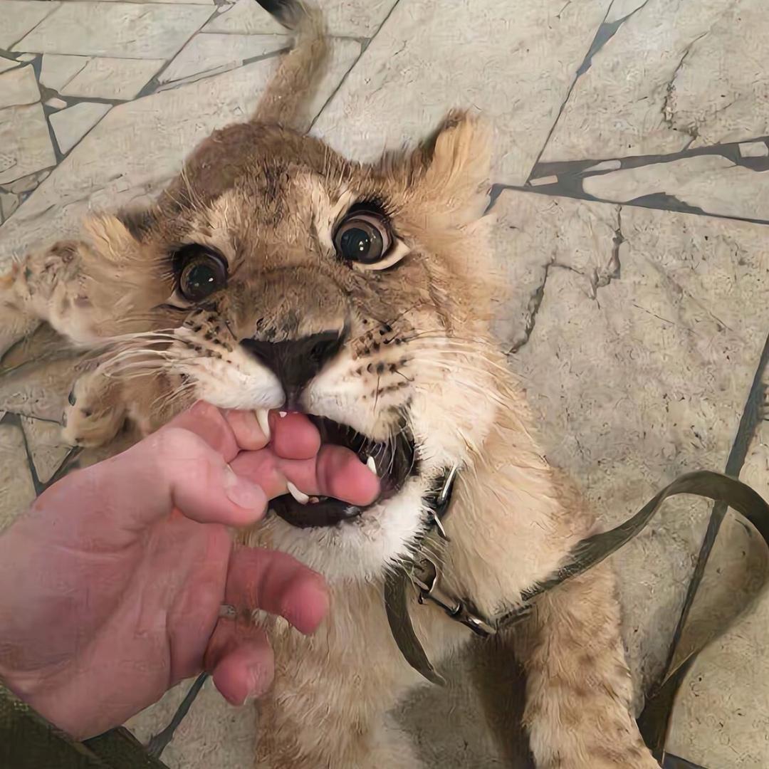 5122