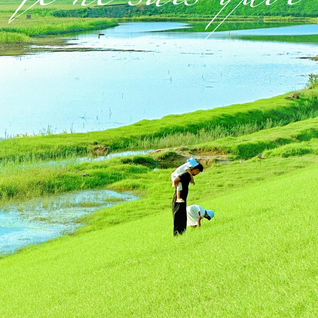 @张华