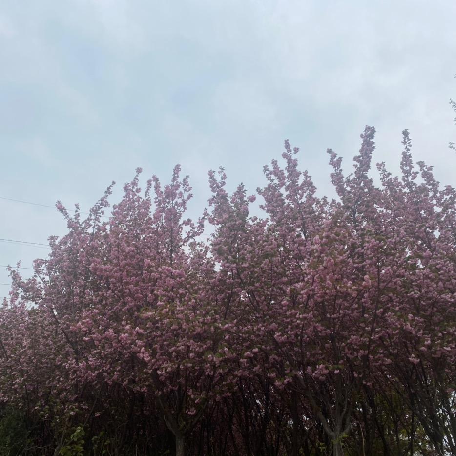 新安县新城罗兰佩蒂美容院