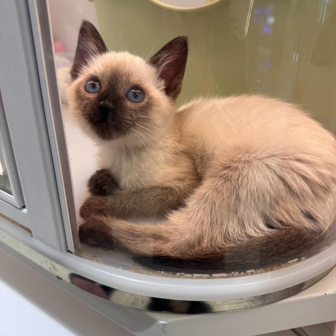 我的头总是很痛