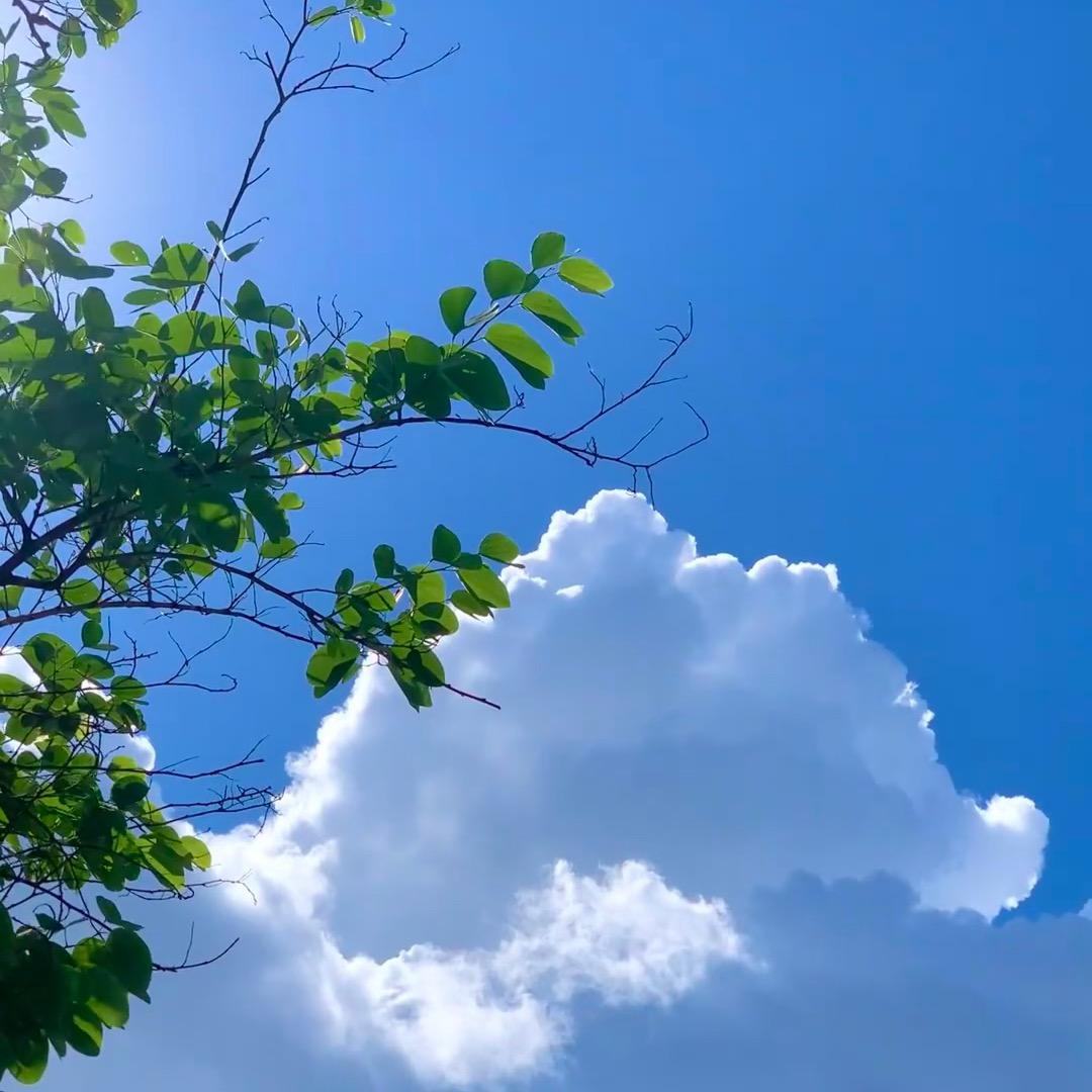 玉滴水
