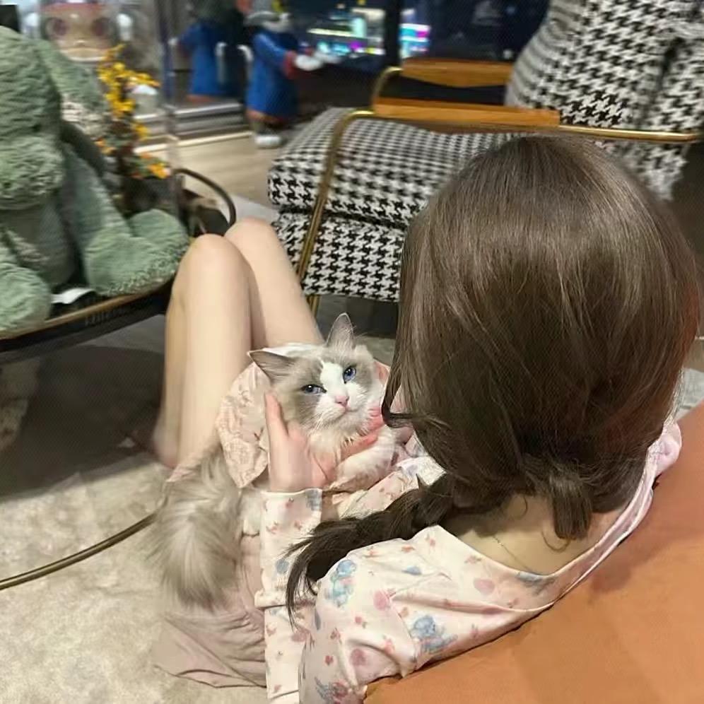 小橙子。