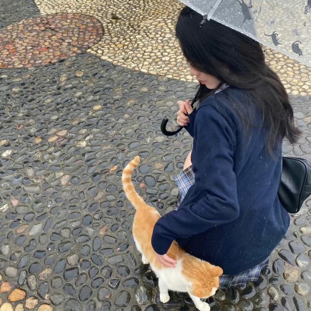 小狐狸爱吃芋圆