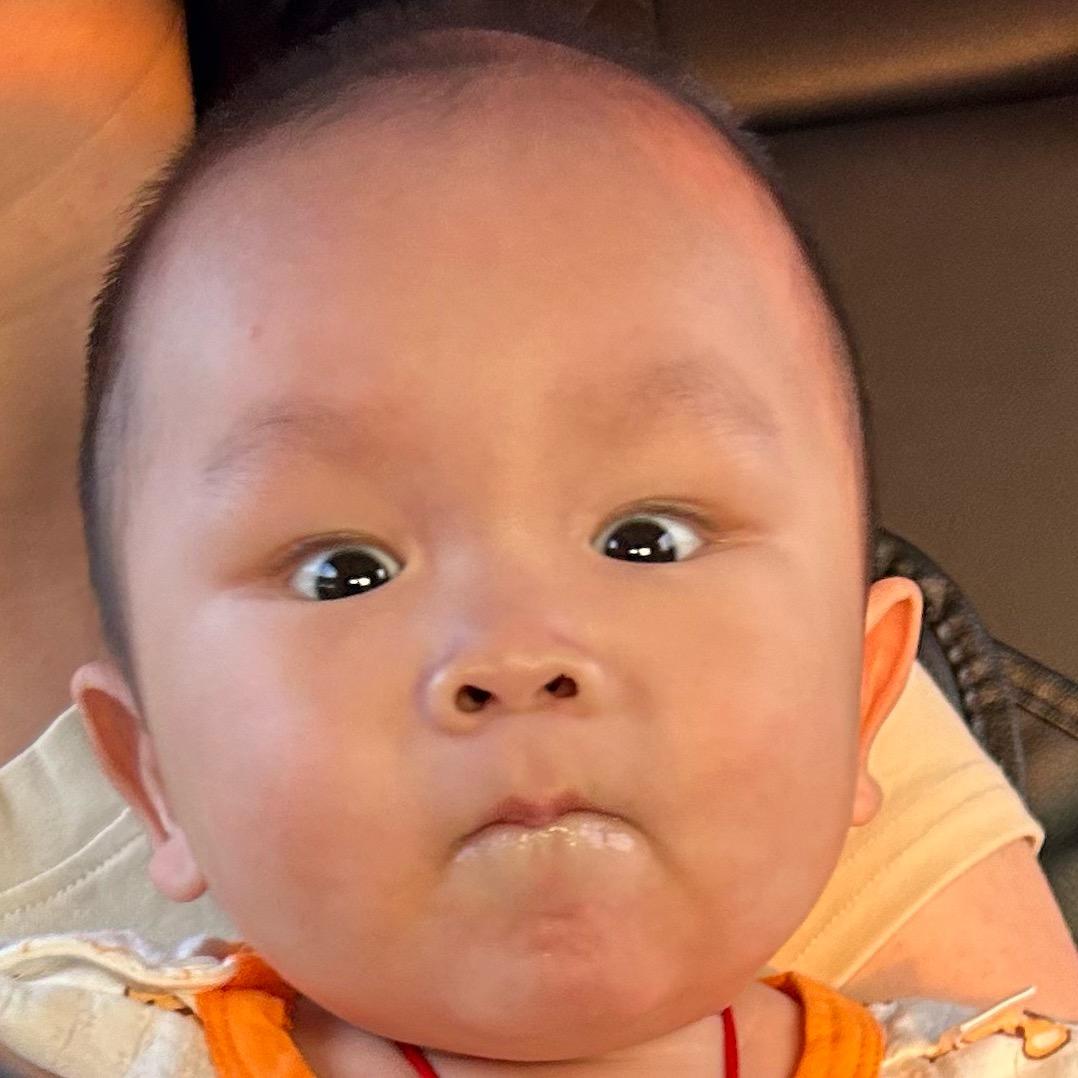 晨宝宝🍼