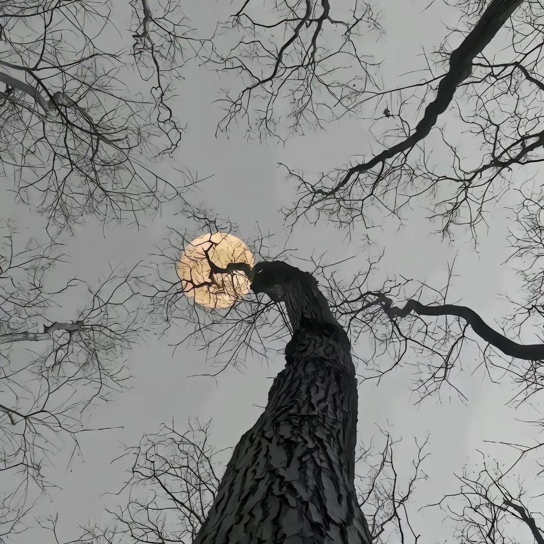 一事无 陈先生