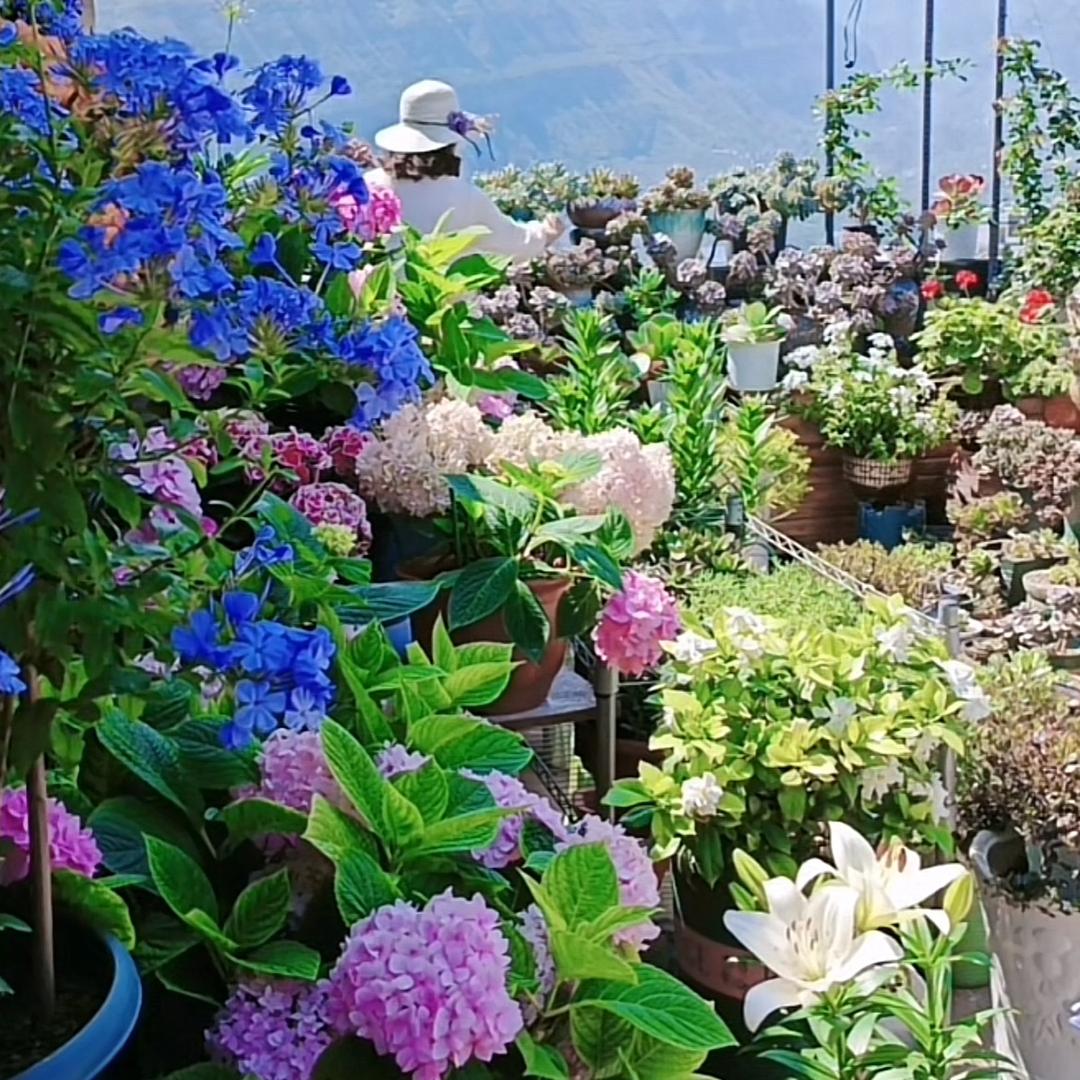 三更弄花