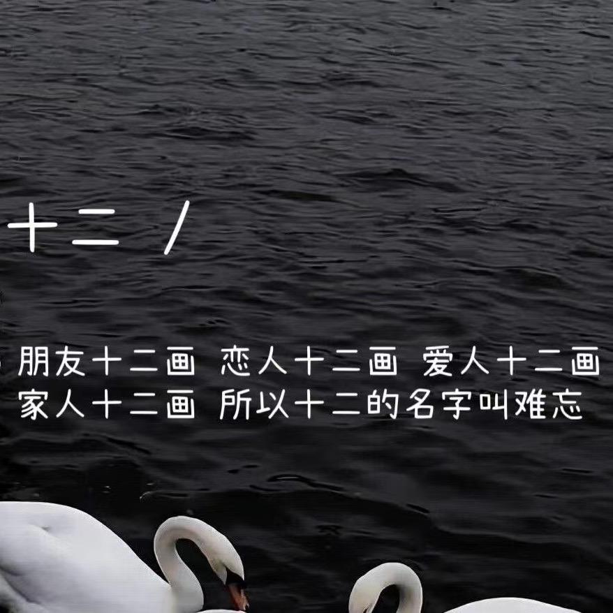 💖十二💖
