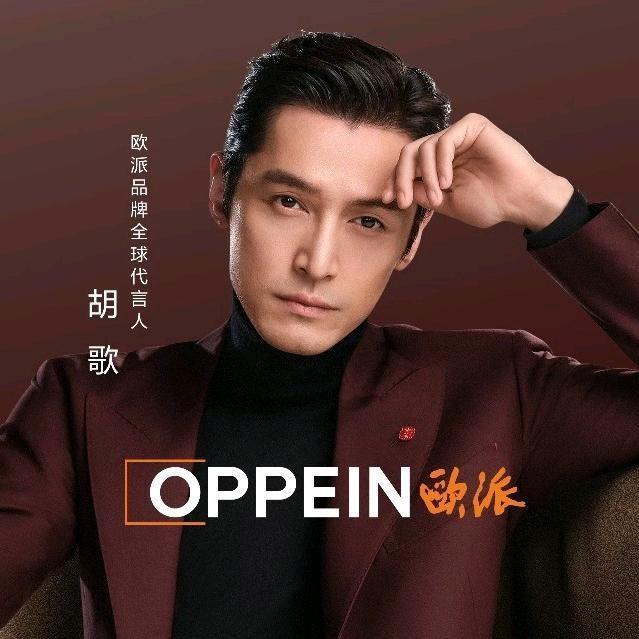 欧派家具甄选