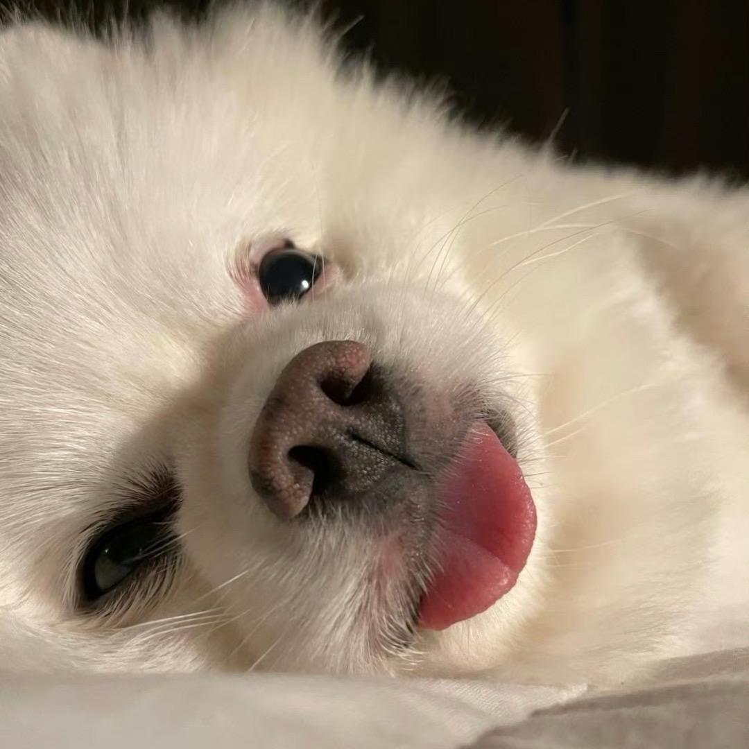 pupu🌧️