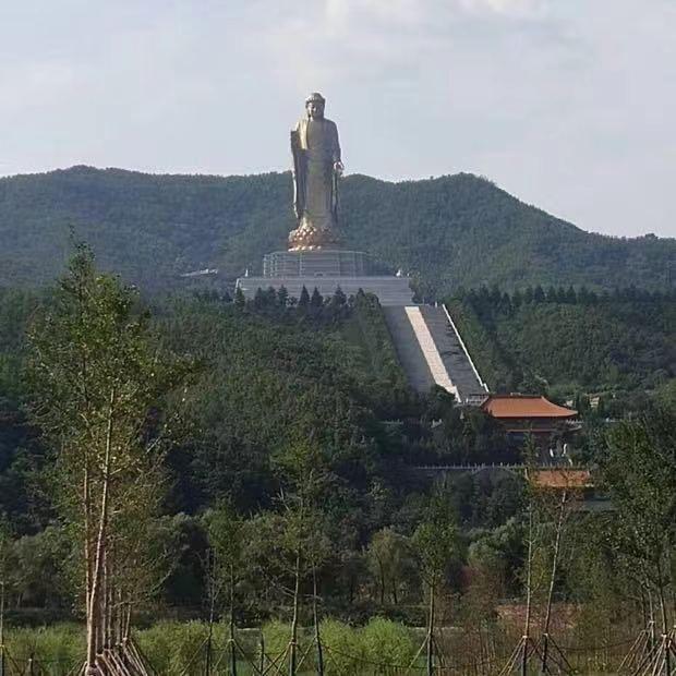 专业彩焊钢瓦S（Z）