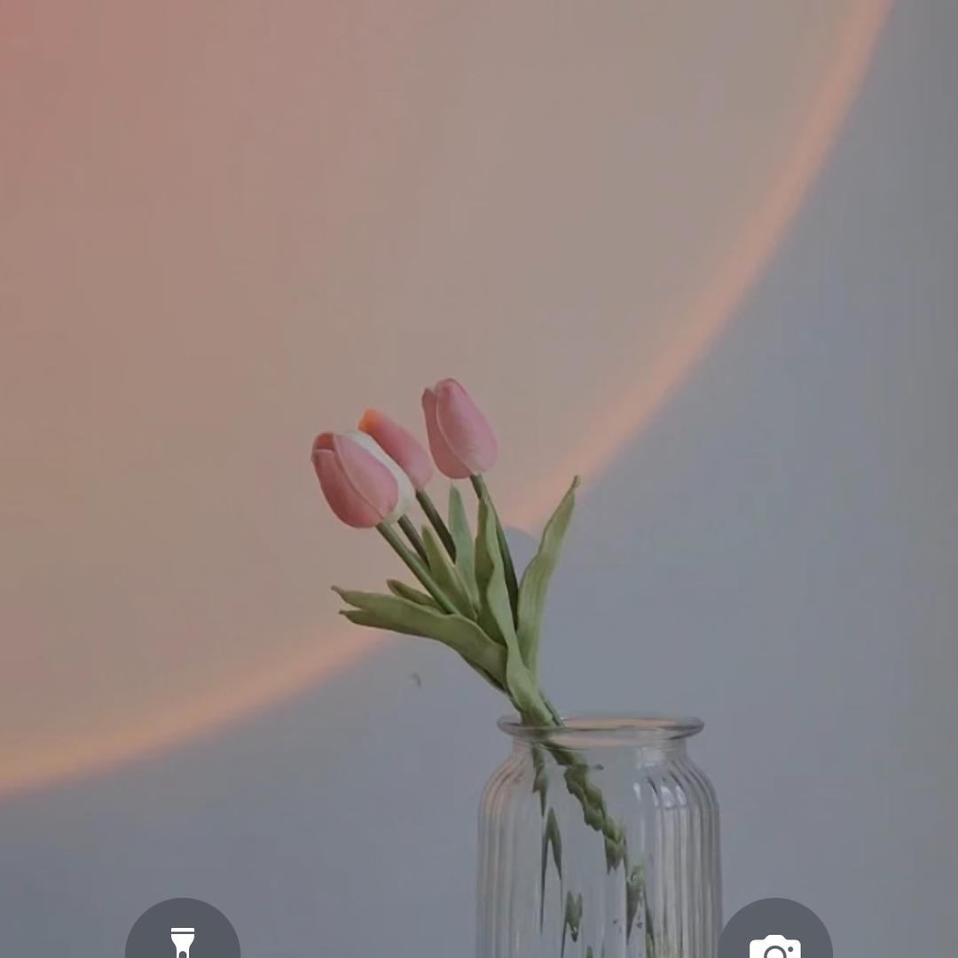 小曦瓜🍉