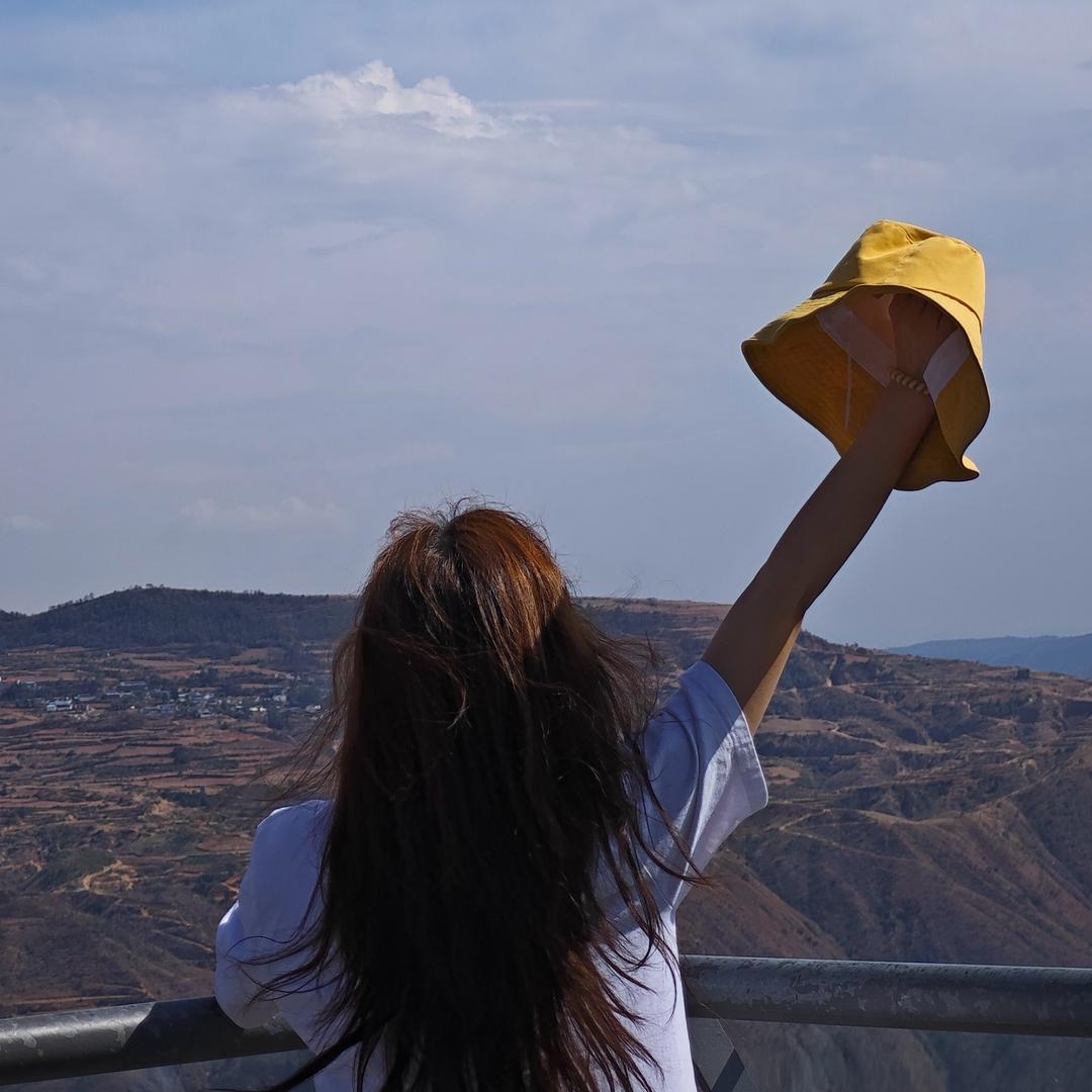 一只特例独行的猪