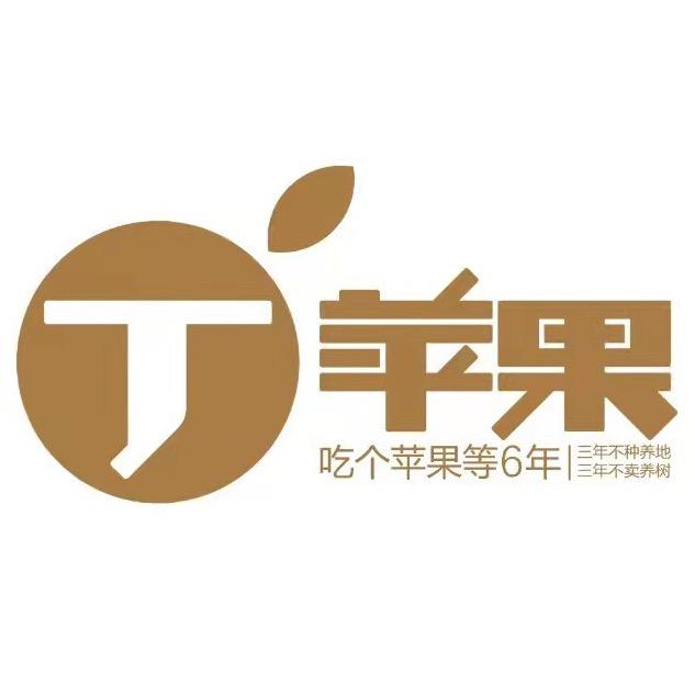 丁苹果