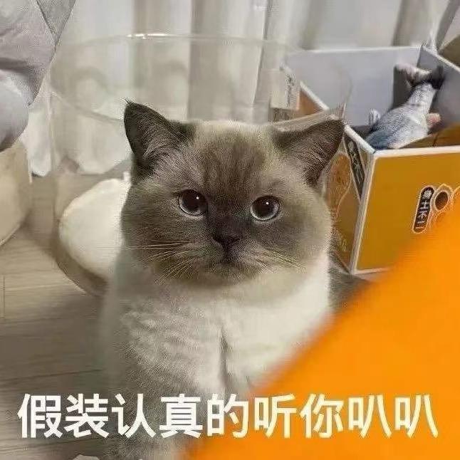 张可可🥤
